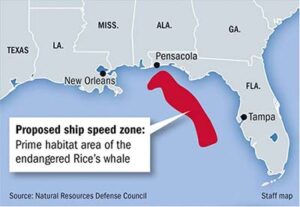 Map of Gulf of Mexico showing proposed Vessel Speed Restriction zone for certain sized boats 