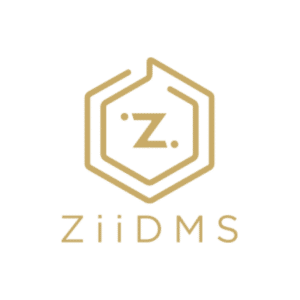 ZiiDMS gold logo 