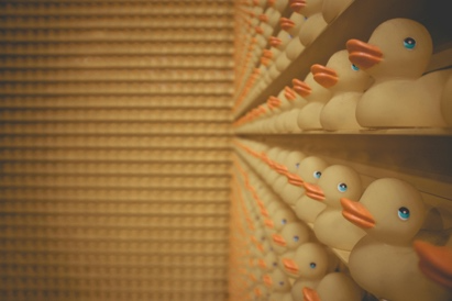 Service Messaging Success - Ducks in a row -boat storage